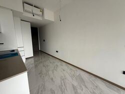 The Landmark (D3), Condominium #517026641